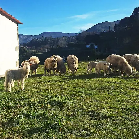Gospodarstwo wiejskie Casas Da Loureira - Casa Da Piscina E Batatas Ii