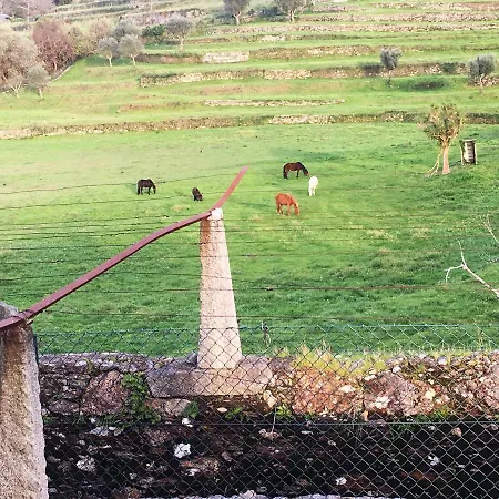 Gospodarstwo wiejskie Casas Da Loureira - Casa Da Piscina E Batatas Ii *